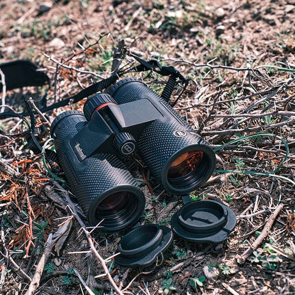 Prismáticos Bushnell Nitro 10x36 ED Prime