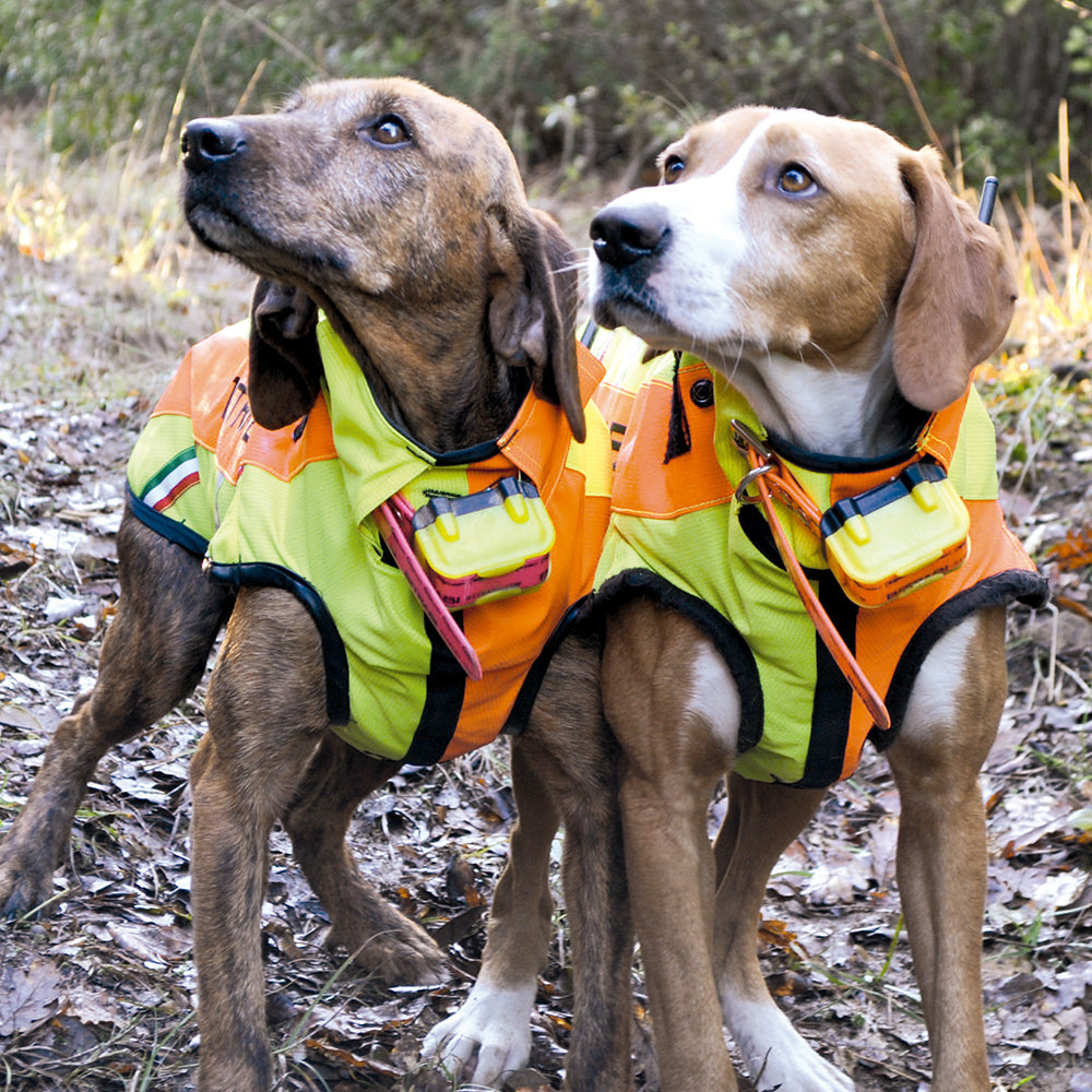 Chaleco Protector para Perros de Caza BITRABI Sicur Dog