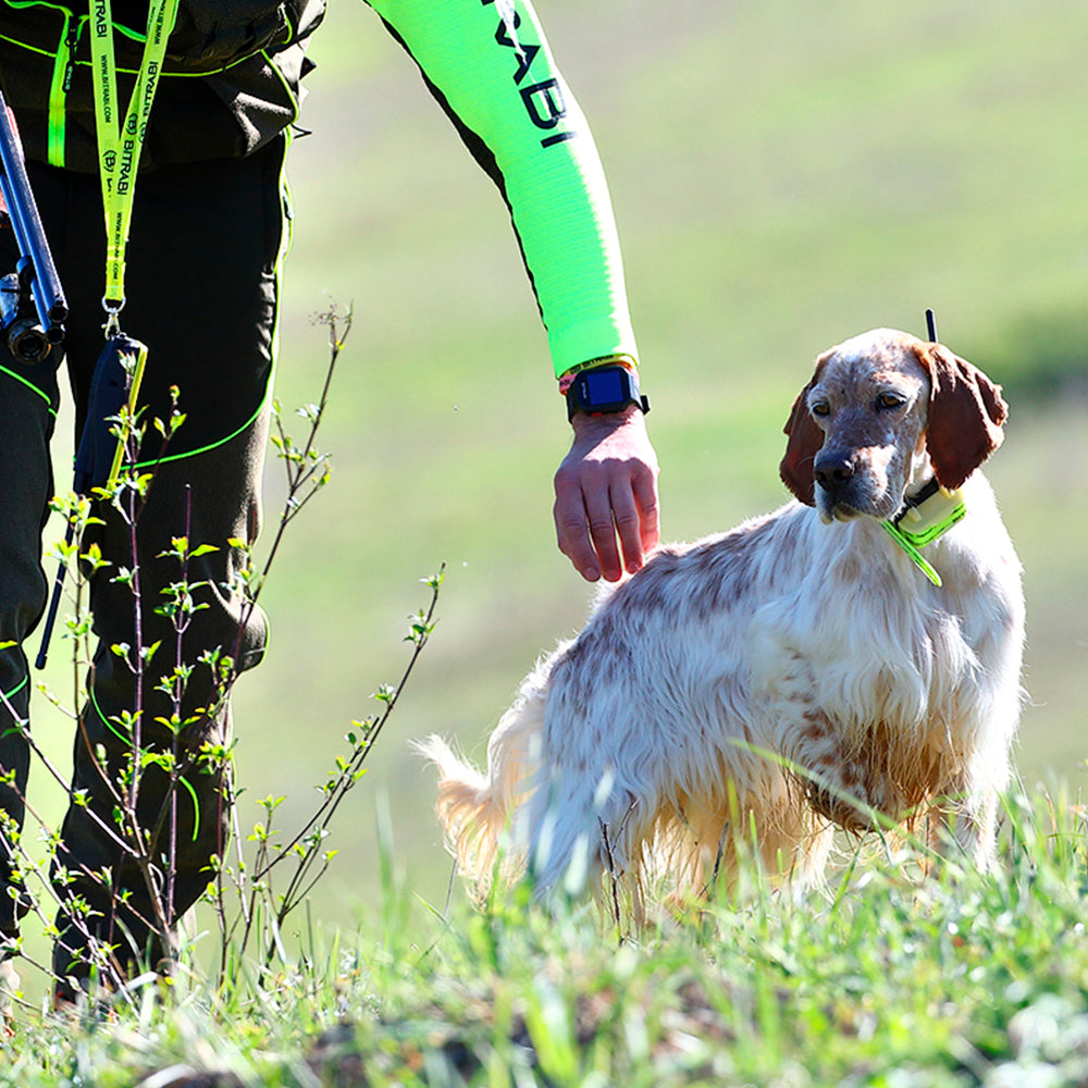 Collar GPS para Perros de Caza BITRABI MITO 5100