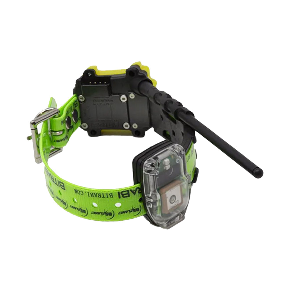 Collar GPS GSM para Perros de Caza BITRABI MITO 5200