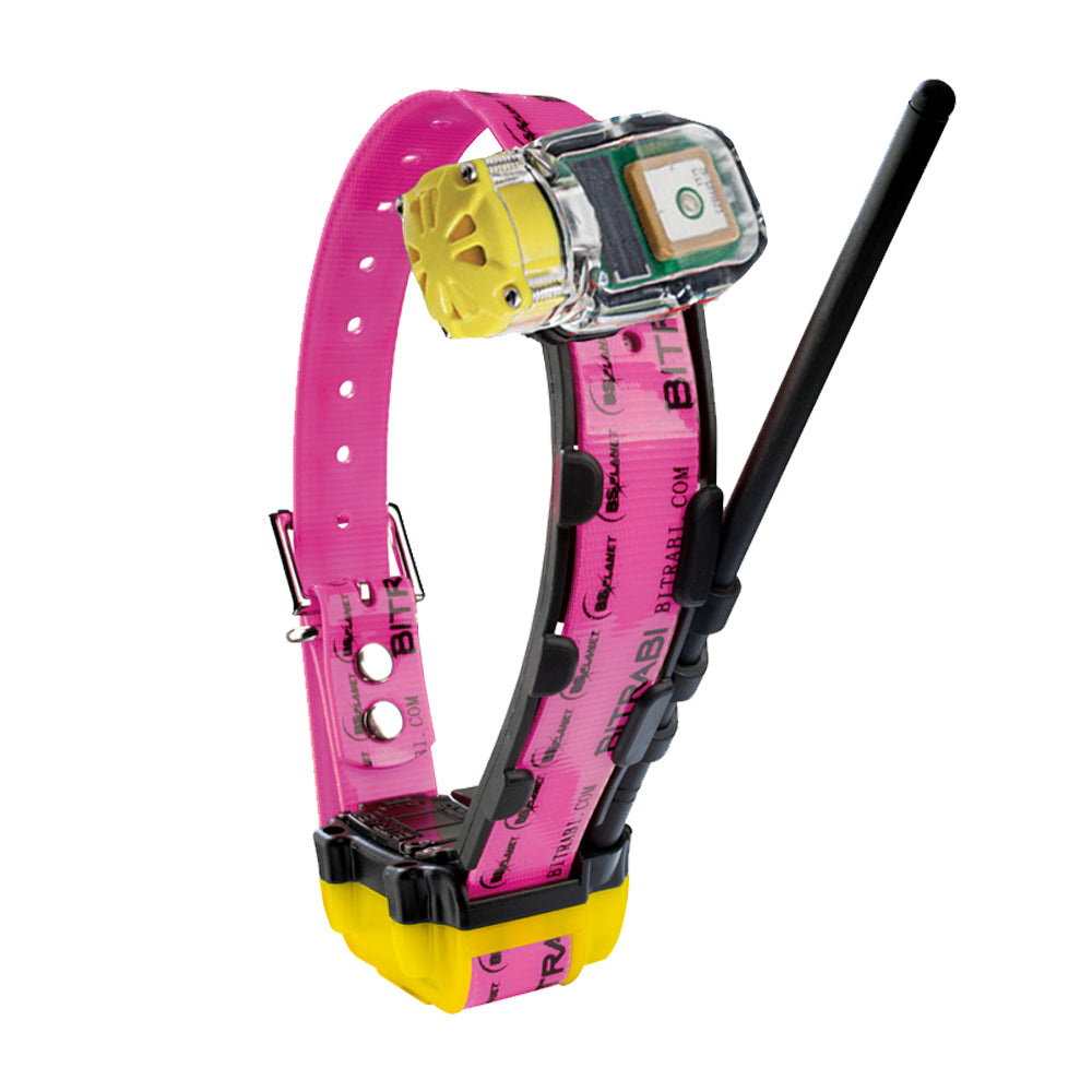 Collar GPS GSM para Perros de Caza BITRABI MITO 5300 Beeper
