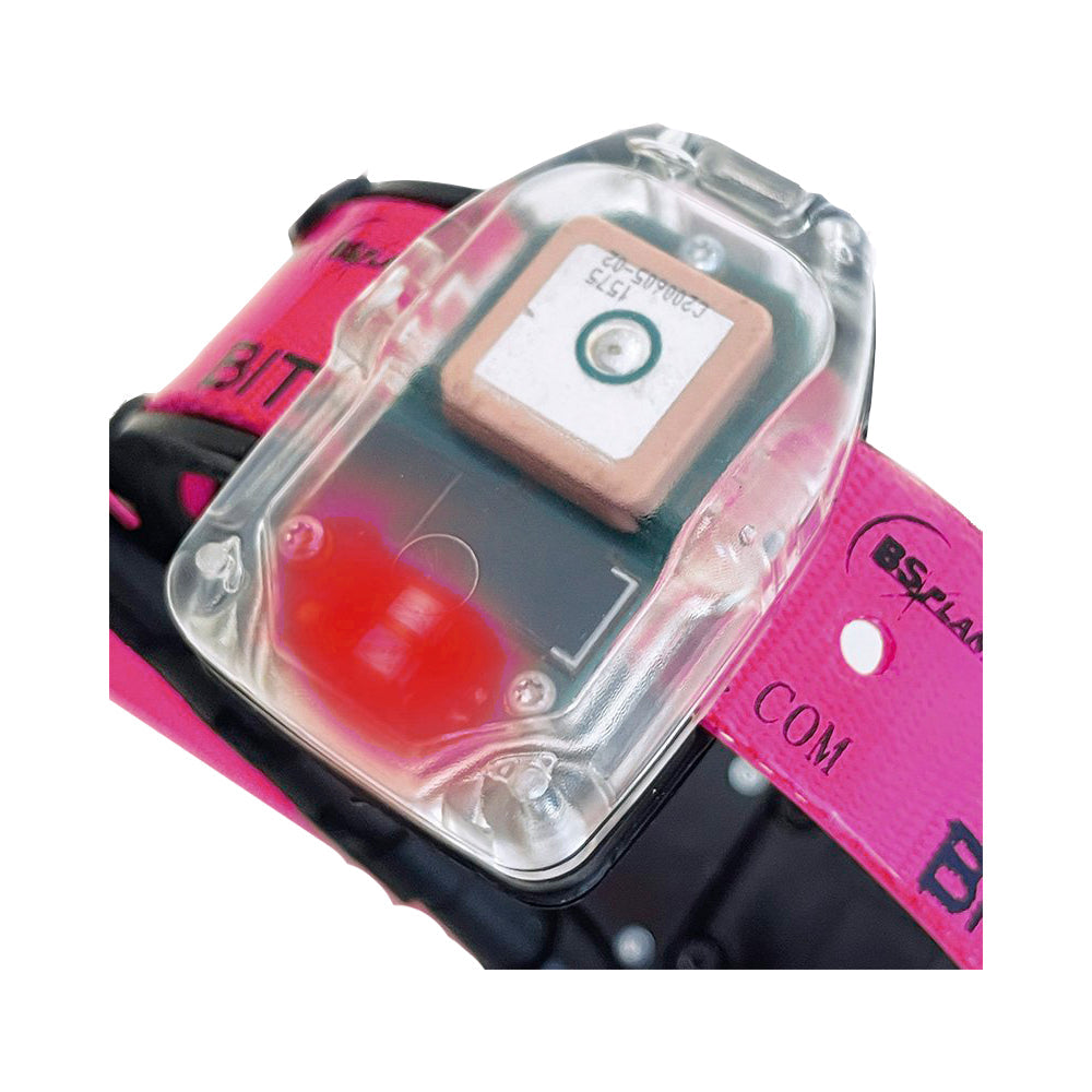 Collar GPS GSM para Perros de Caza BITRABI MITO 5300 Beeper