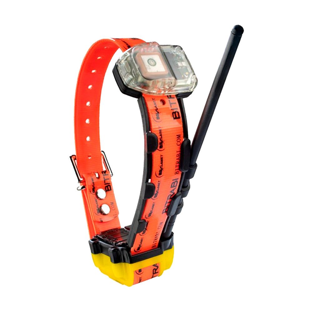 Collar GPS GSM para Perros de Caza BITRABI MITO 5300