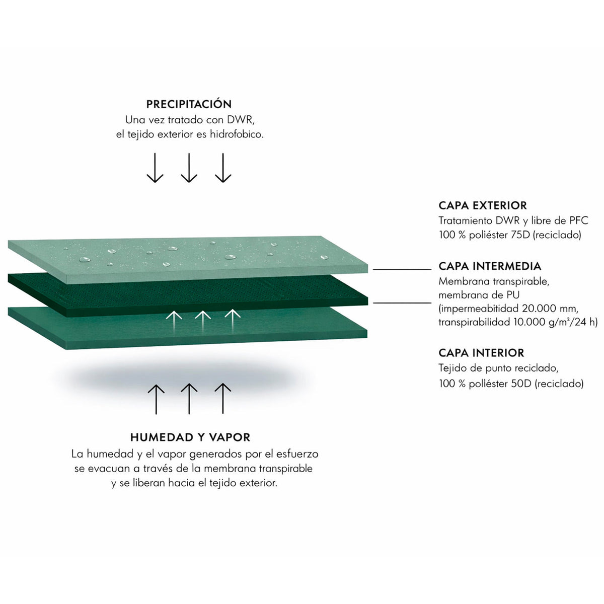 Chaqueta técnica para hombre Swarovski Optik OJ - Verde