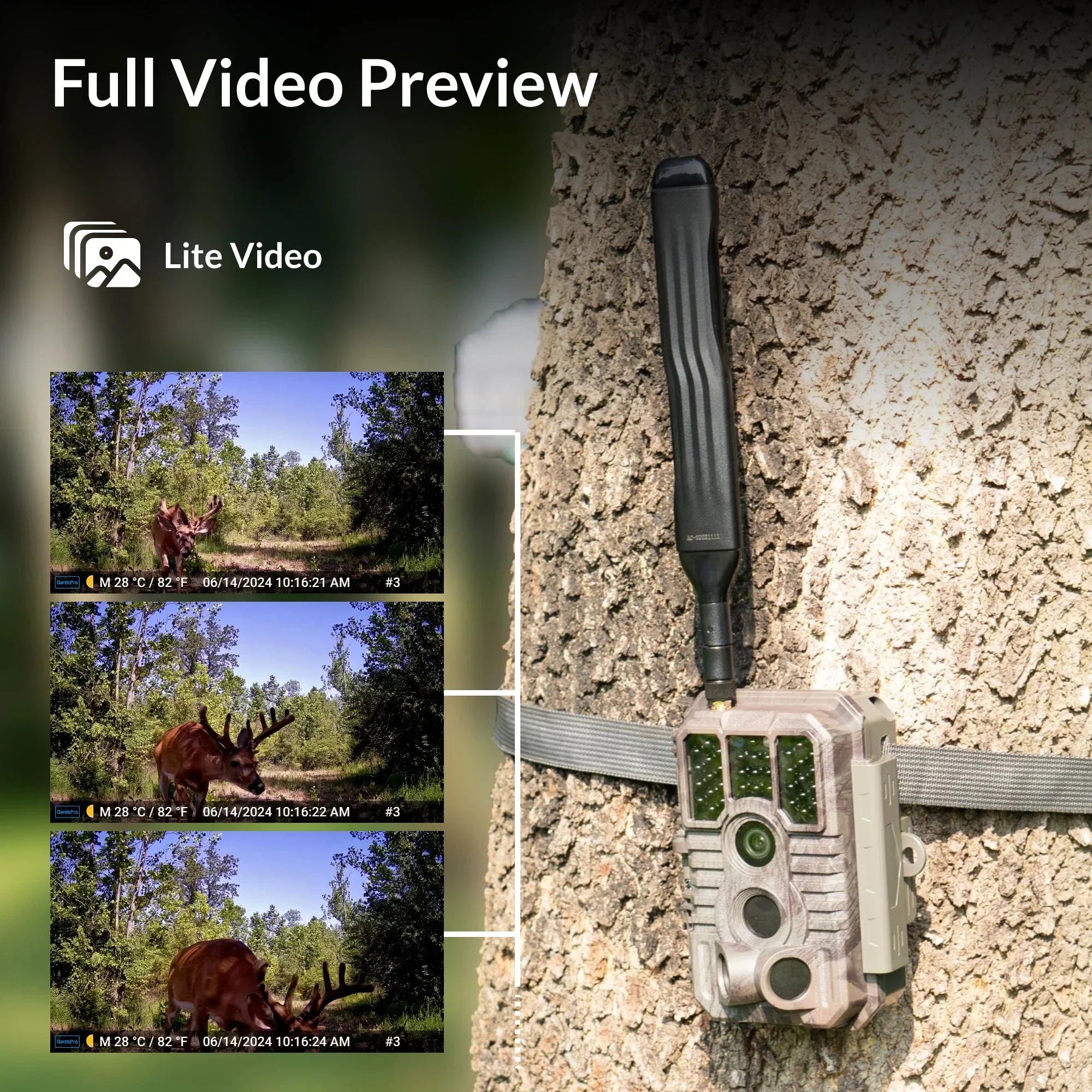 Cámara de fototrampeo GardePro X60 PRO PMB 4G con batería recargable