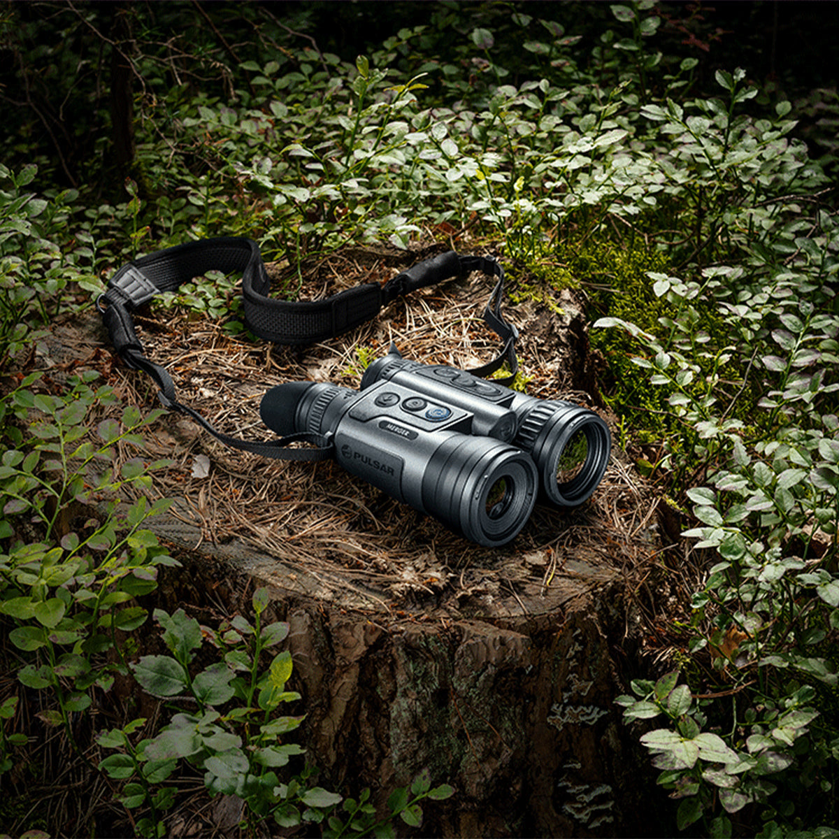 Binocular térmico PULSAR Merger LRF XT50