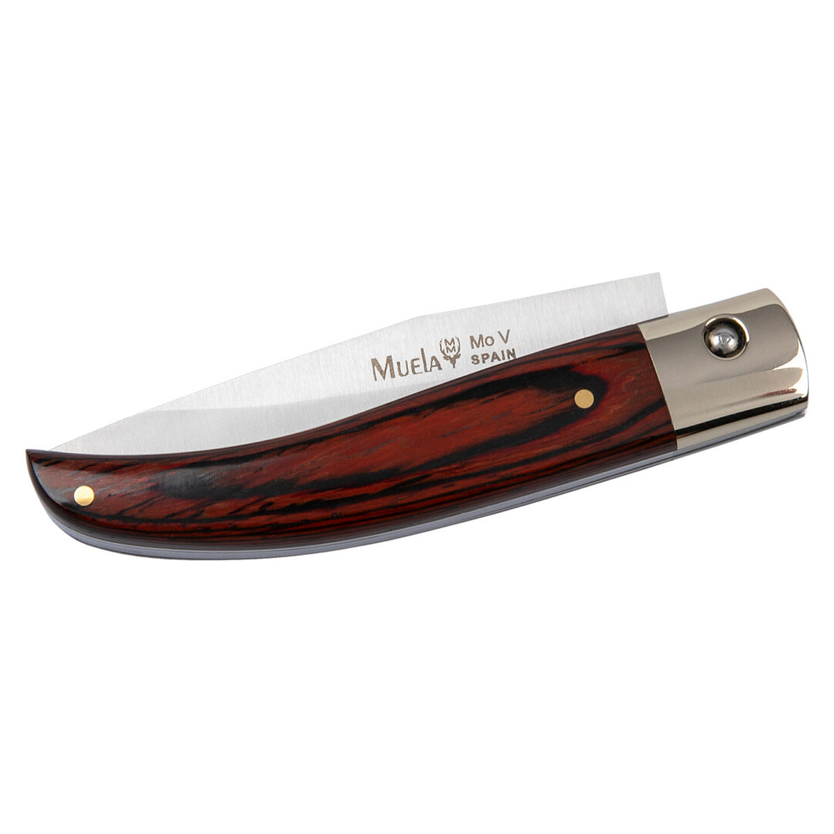 Muela P-8VR · vista 12