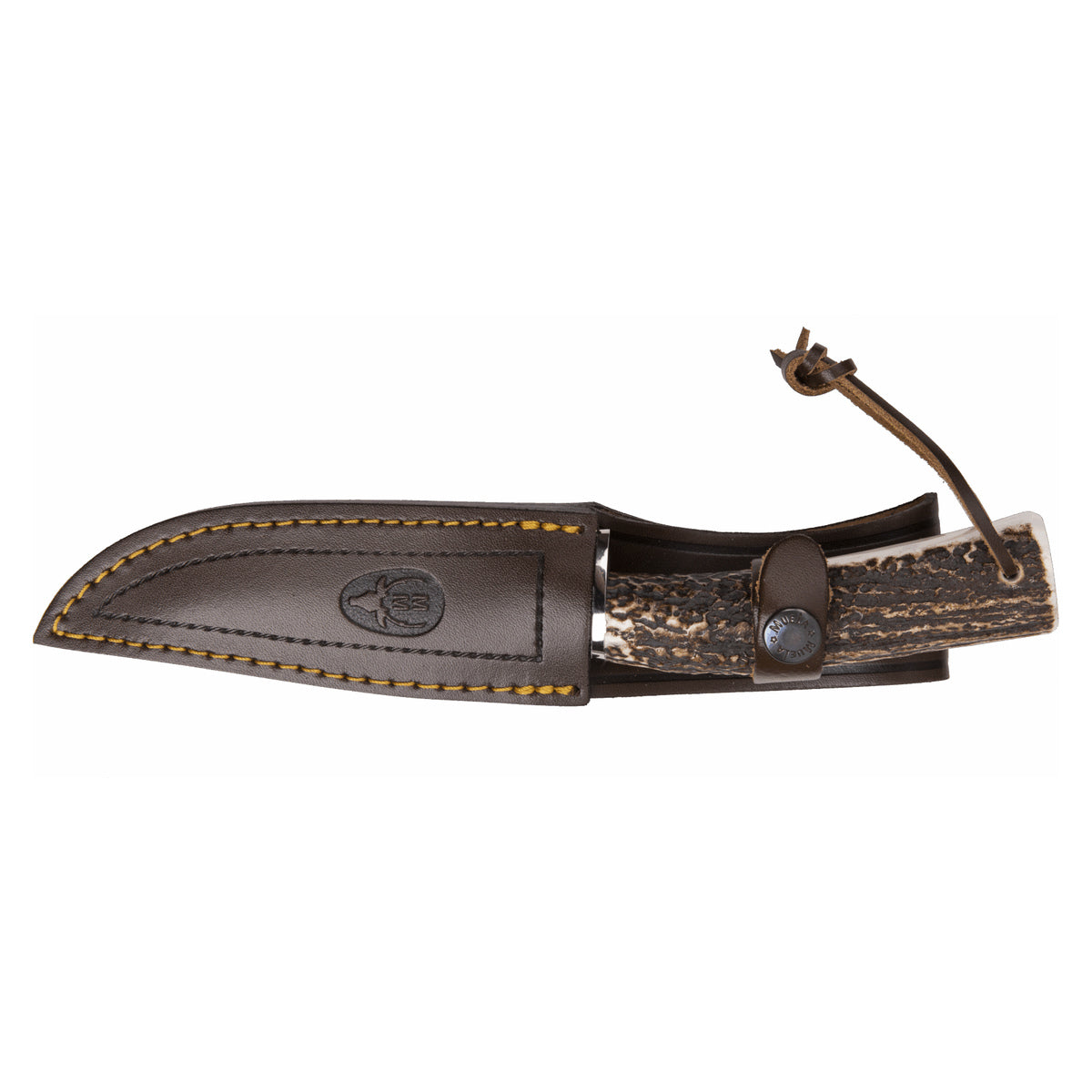 Muela POINTER-13A · vista 2