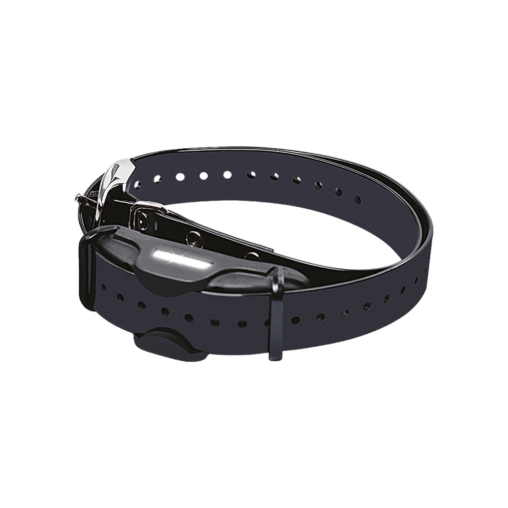 Collar de Adiestramiento para Perros BITRABI Professional Dresseur
