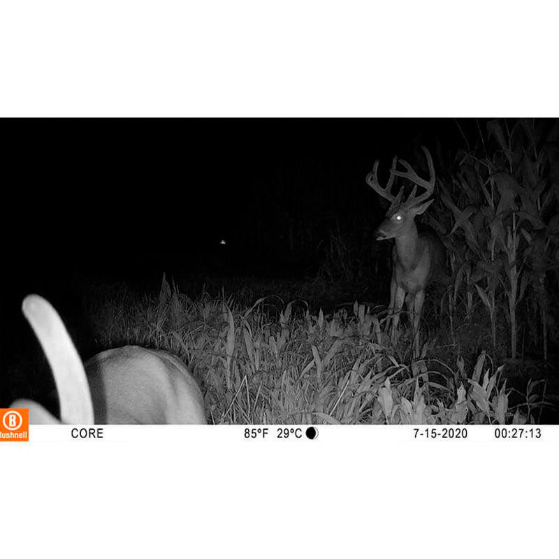 Cámara de fototrampeo Bushnell Core S-4K No-Glow Treebark Camo