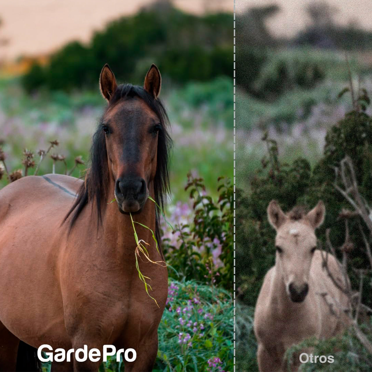 Cámara de fototrampeo GardePro E5S