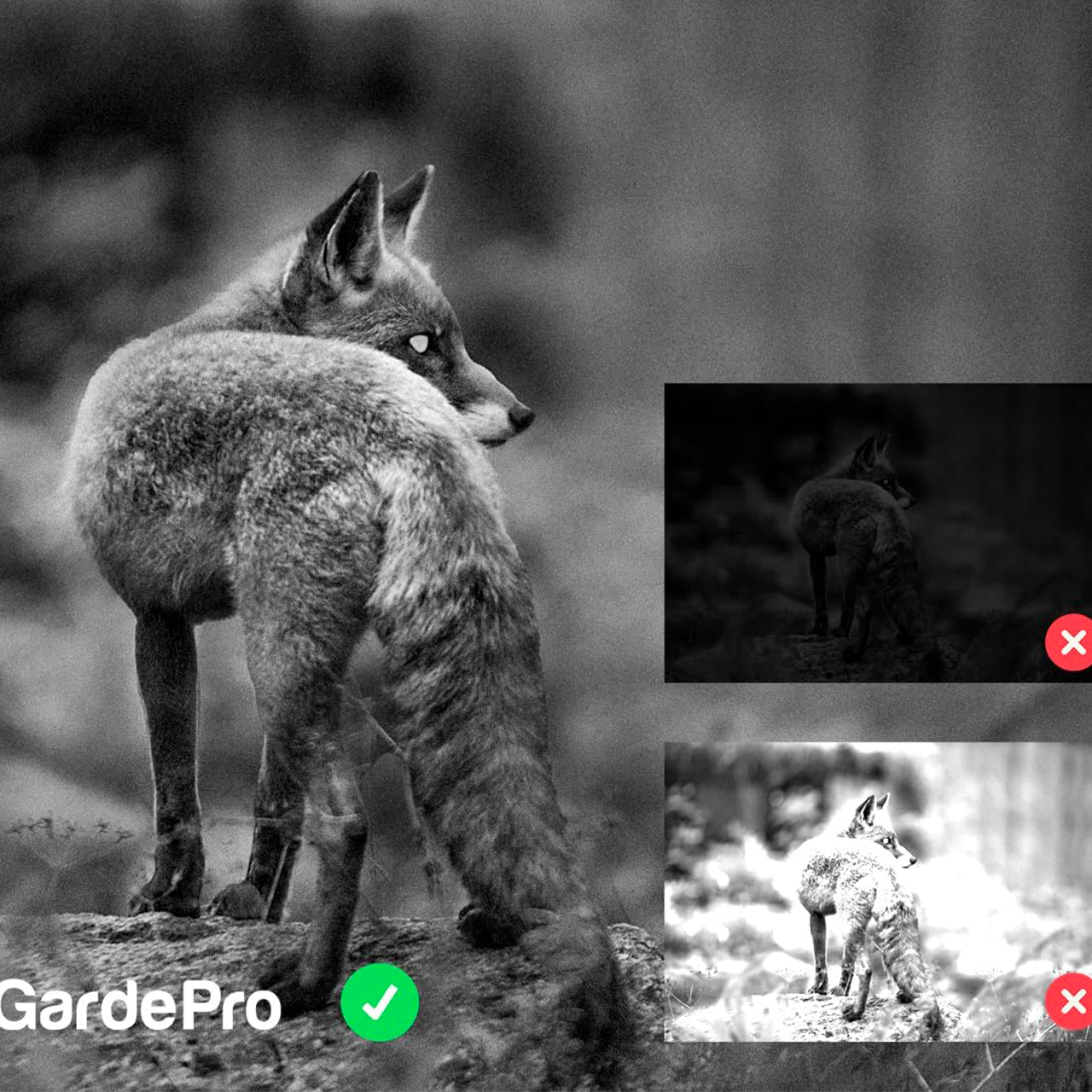 Cámara de fototrampeo GardePro E5S