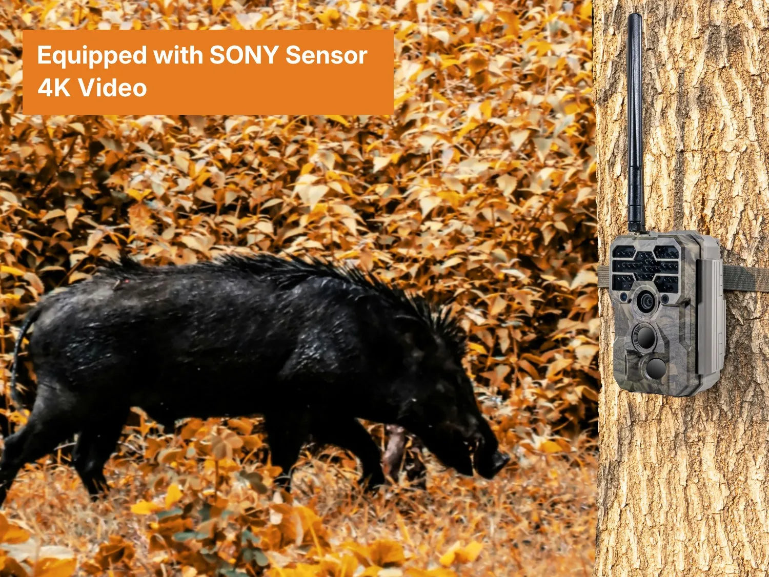 Cámara de fototrampeo GardePro X80GL 4K 4G con GPS