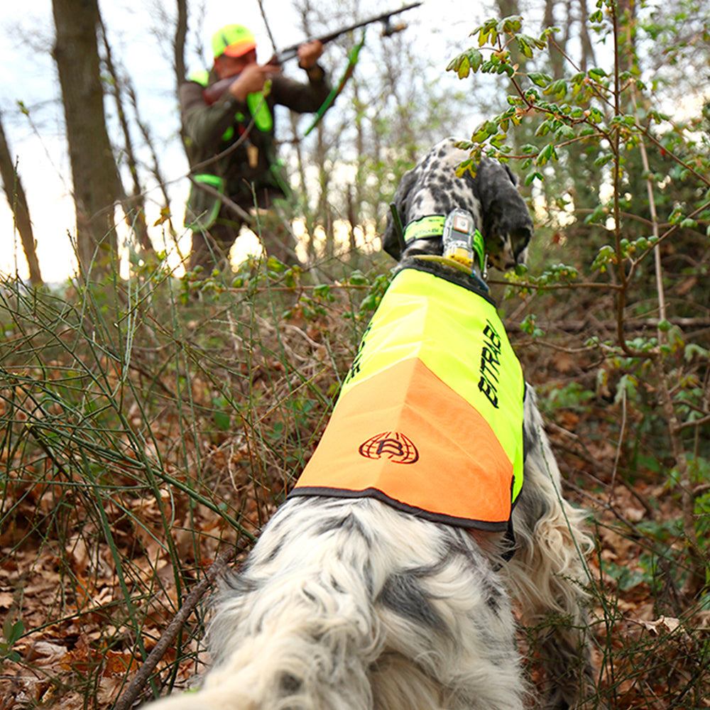 Capa de Alta Visibilidad para Perros de Caza BITRABI Sicur Dog Ferma