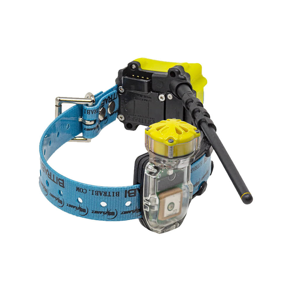 Collar GPS para Perros de Caza BITRABI MITO 5100 Beeper