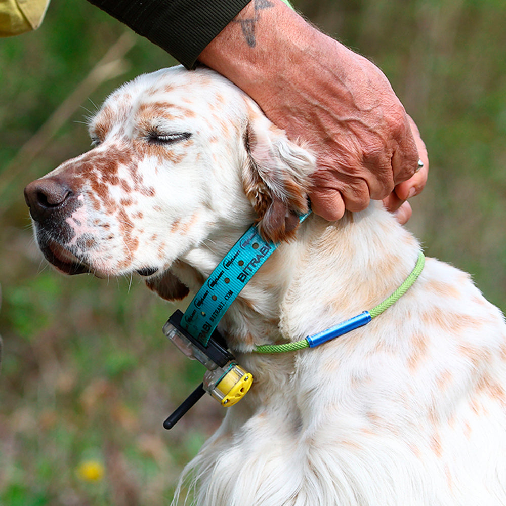 Kit GPS para Perros de Caza BITRABI Mito 5100 Beeper + BS103 Legend