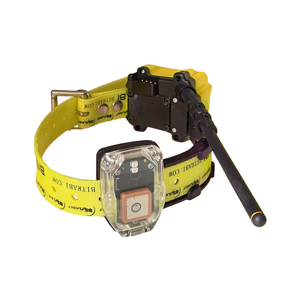 Collar GPS para Perros de Caza BITRABI MITO 5100
