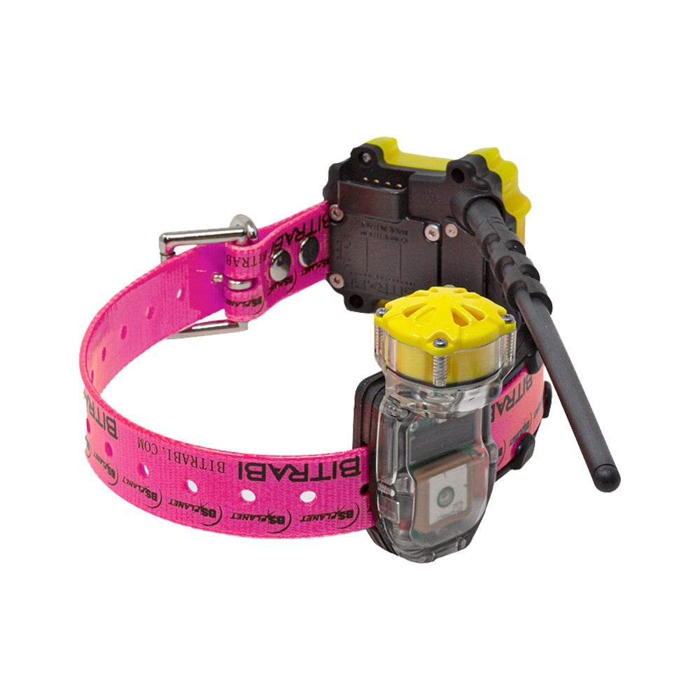 Collar GPS GSM para Perros de Caza BITRABI MITO 5300 Beeper