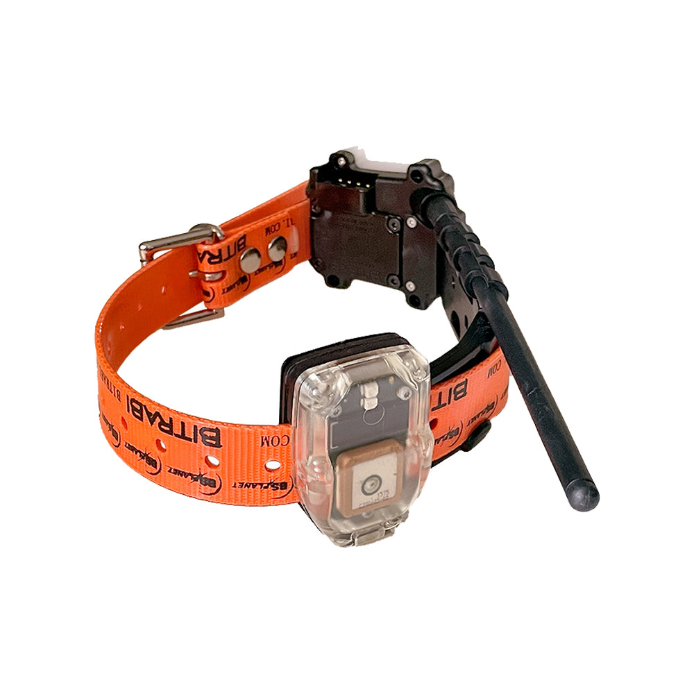 Collar GPS GSM para Perros de Caza BITRABI MITO 5300