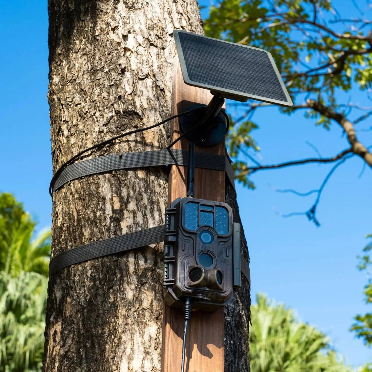 Panel solar GardePro SP350 con batería recargable