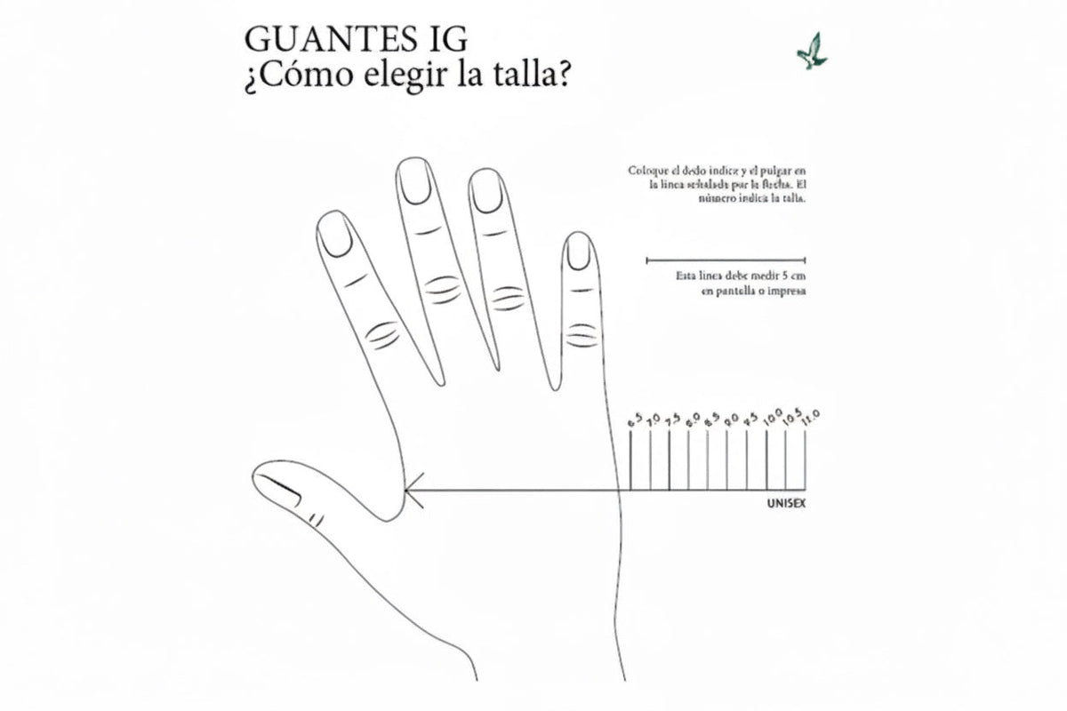 Guantes de invierno Swarovski Optik IG Insulated - Verde oscuro