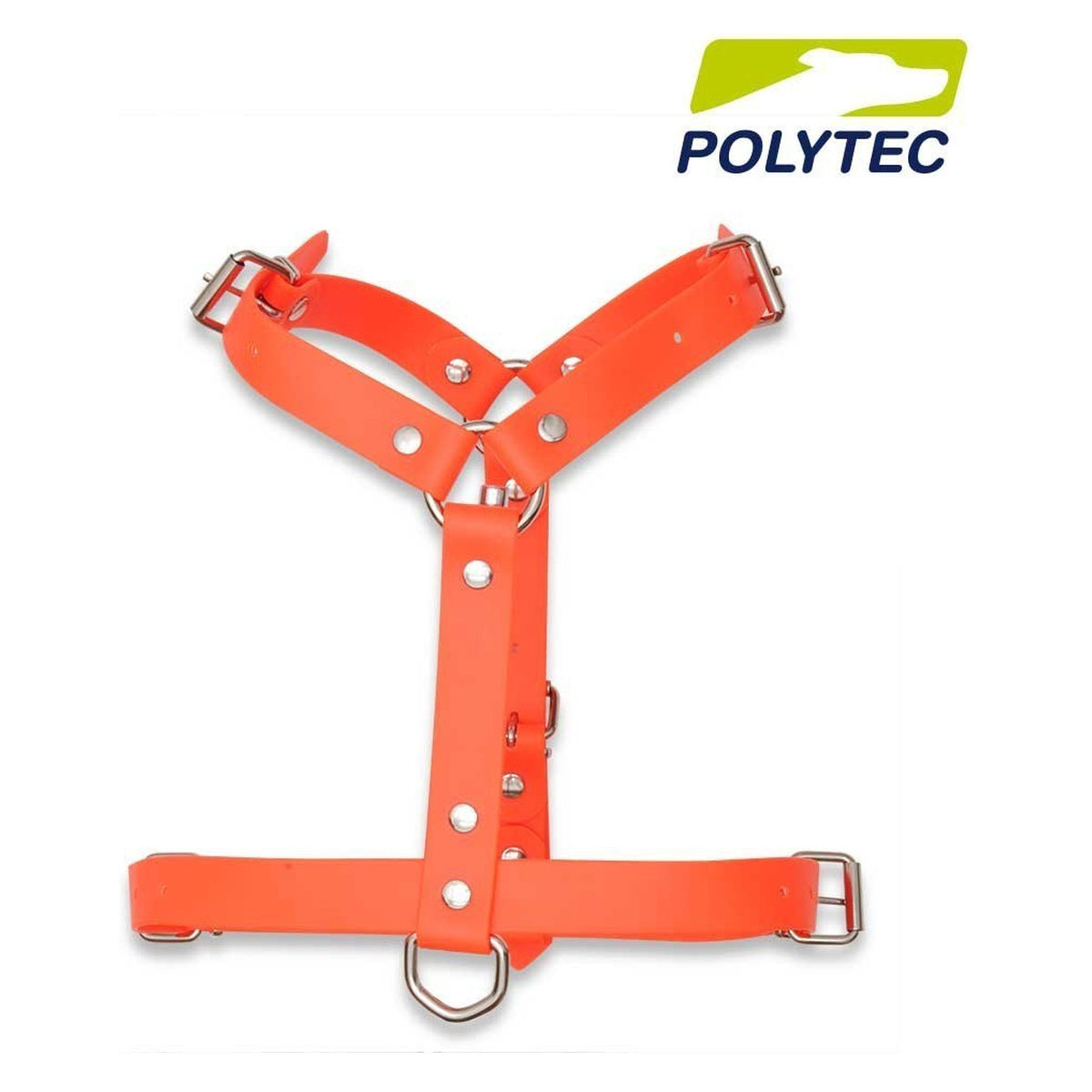 Arnés Ajustable Polytec 25mm · vista 2