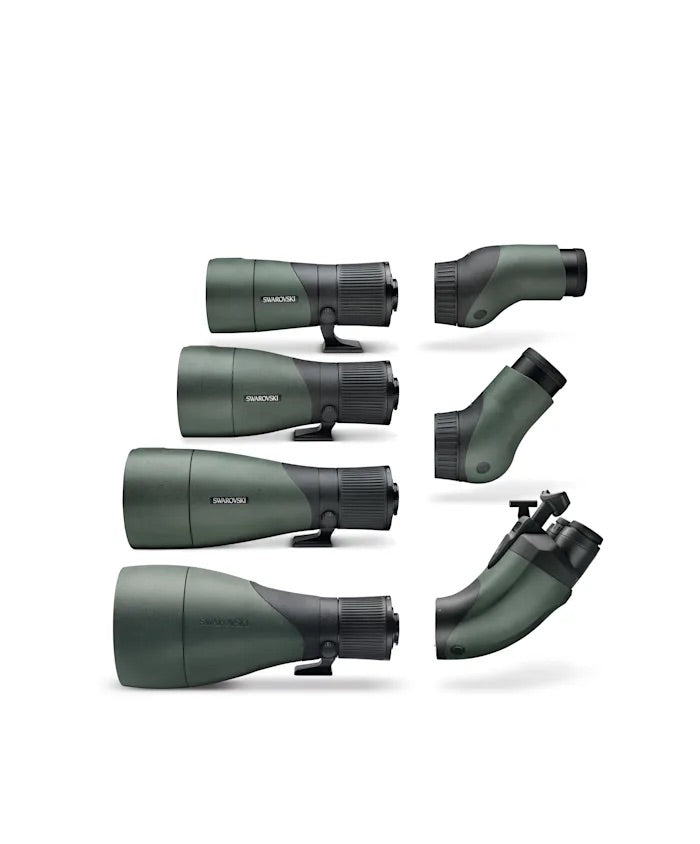 Módulo para objetivo Swarovski Optik ATX/ STX/ BTX