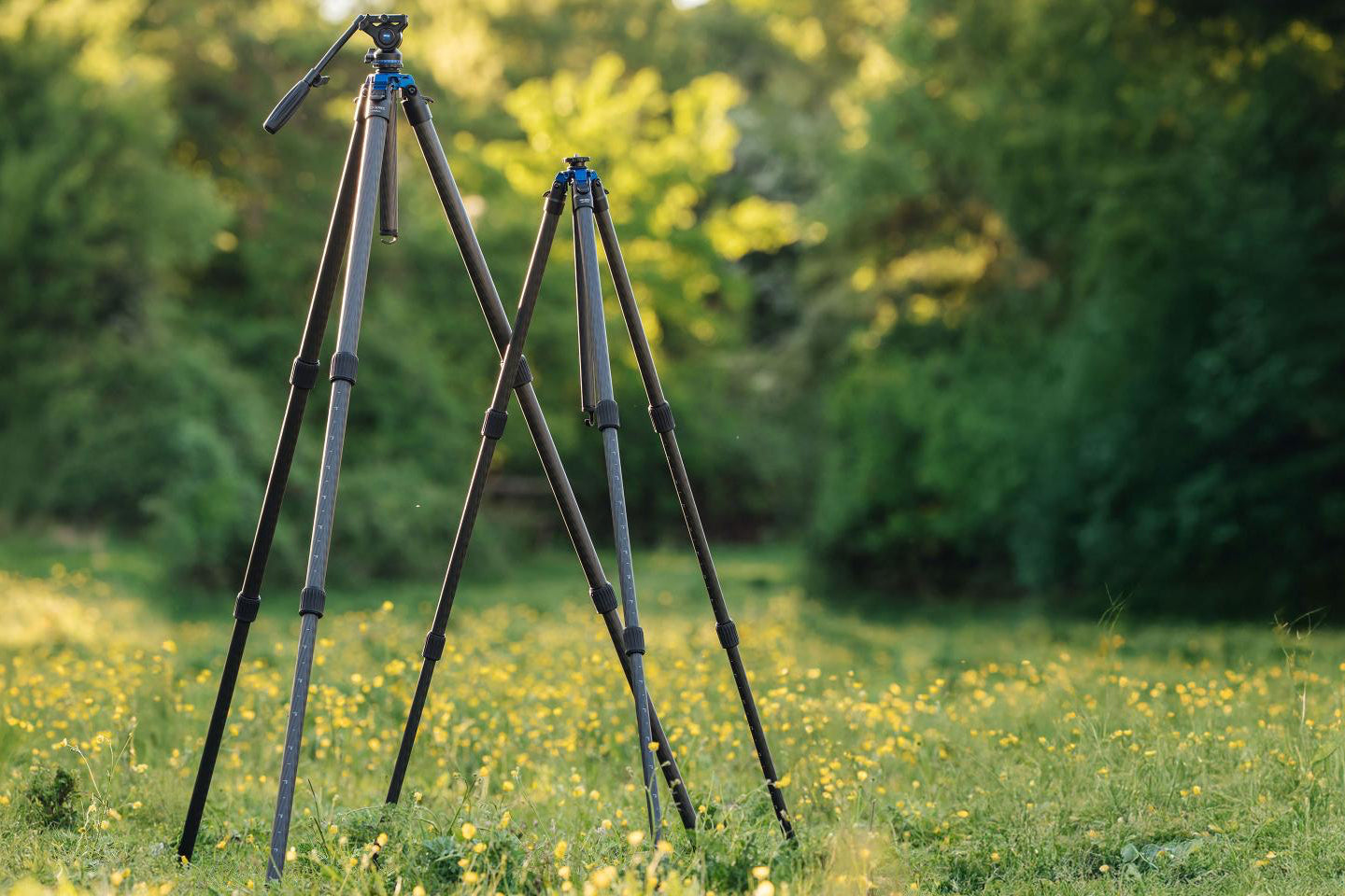 Trípode de carbono ZEISS Pro-Series Lightweight Kit